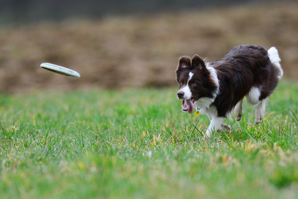 20140301 DSC 6304