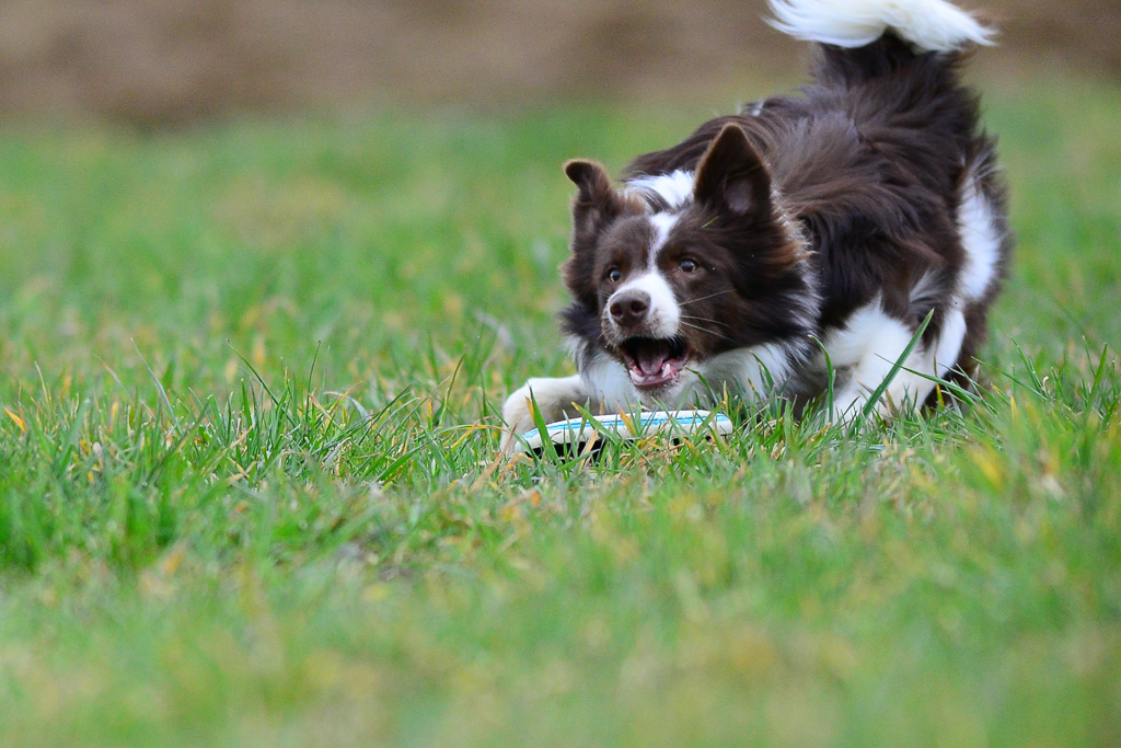 20140301 DSC 6306