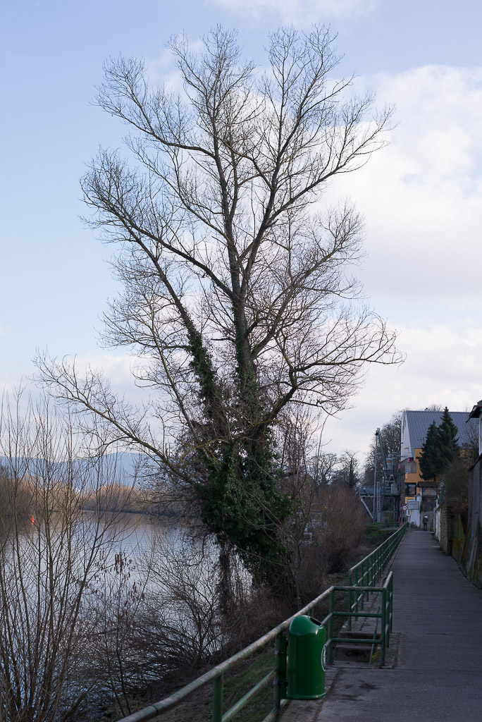 20140302 DSC 0121