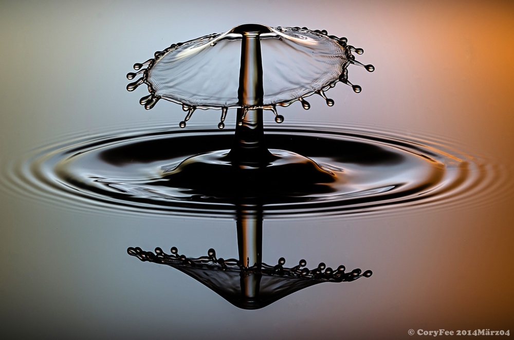 20140303 DSC 0096nf