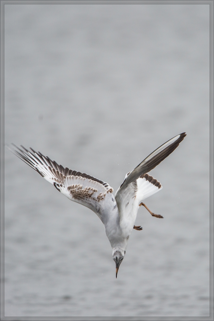 20140316 3874 [NIKON D4] 850 mm,1 800 Sek. bei ƒ   5,6