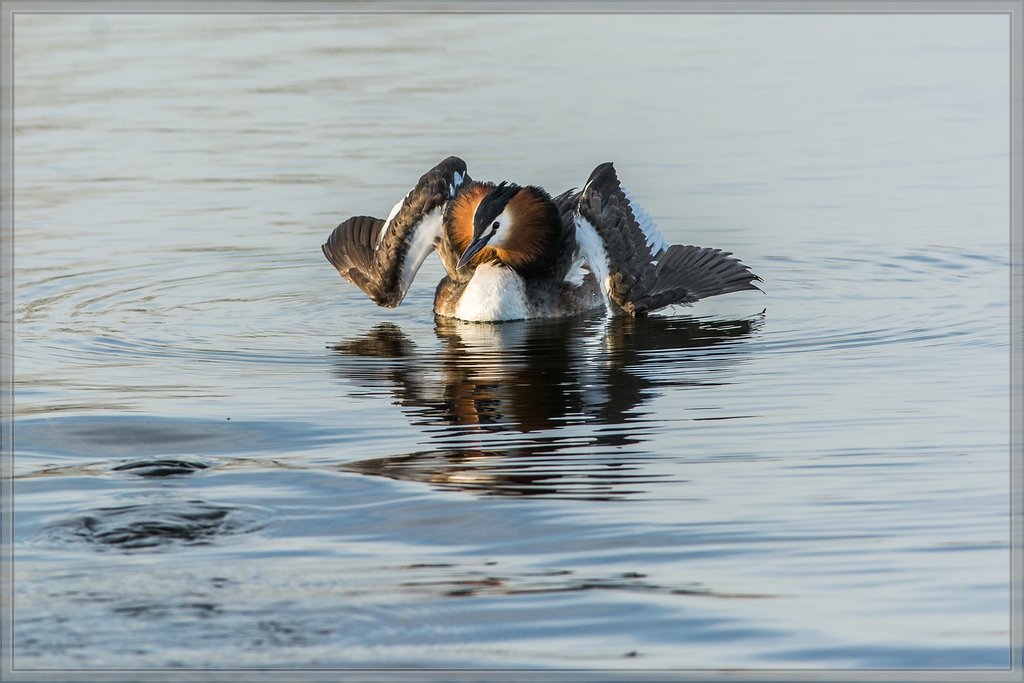 20140319 5826 [NIKON D7100] 500 mm,1 800 Sek. bei ƒ   7,1