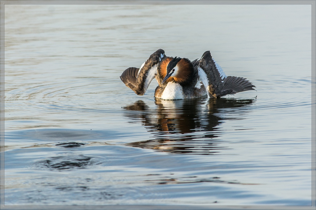 20140319 5826 [NIKON D7100] 500 mm,1 800 Sek. bei ƒ   7,1