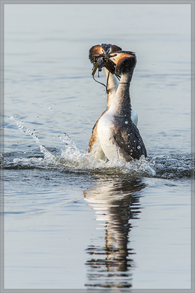 20140319 5866 [NIKON D7100] 500 mm,1 800 Sek. bei ƒ   7,1 3