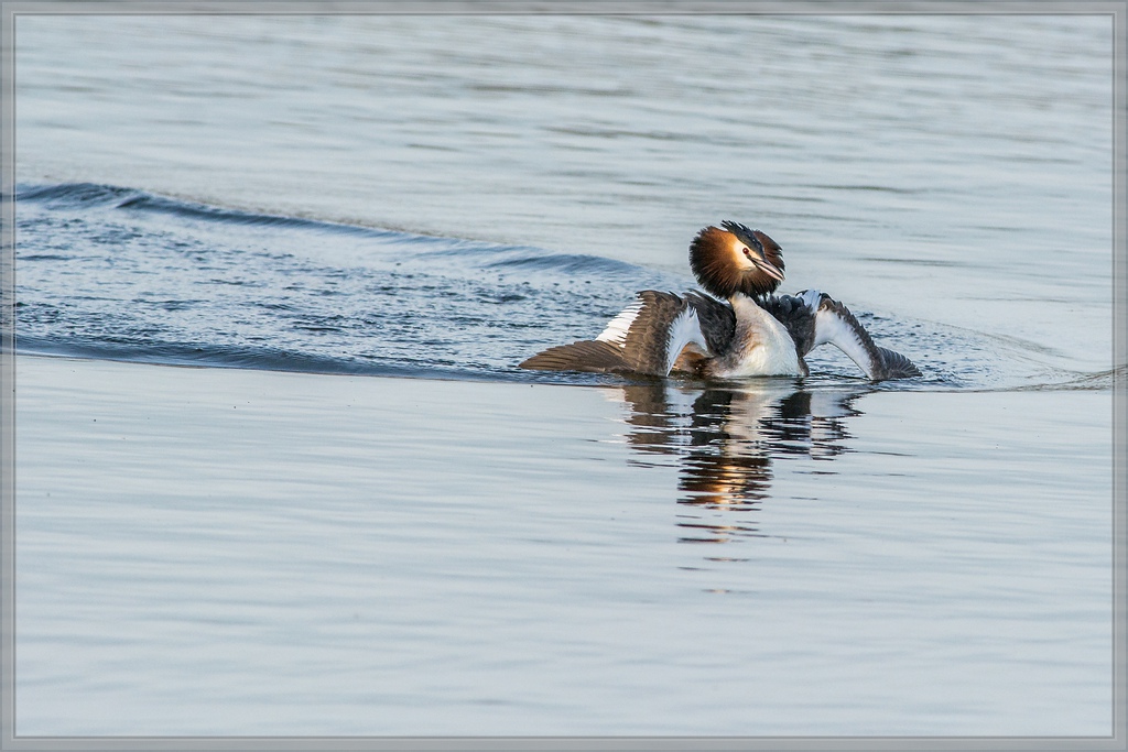 20140319 5909 [NIKON D7100] 500 mm,1 800 Sek. bei ƒ   7,1
