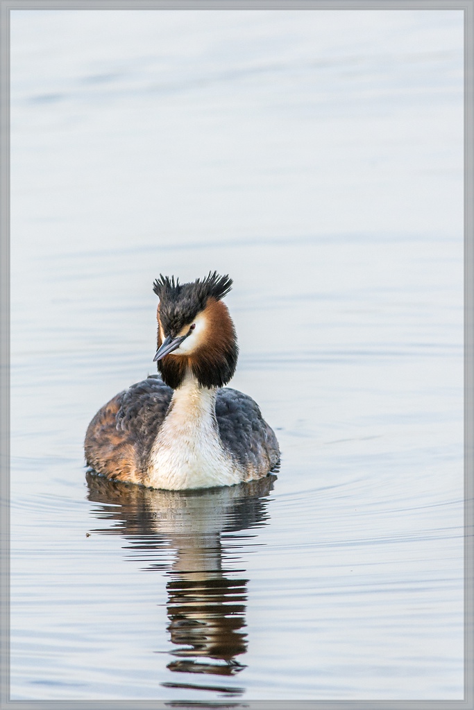 20140319 5942 [NIKON D7100] 500 mm,1 400 Sek. bei ƒ   7,1