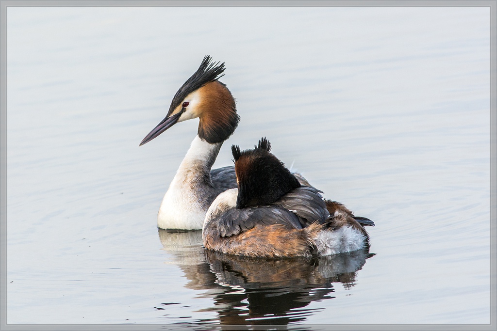 20140319 5946 [NIKON D7100] 500 mm,1 320 Sek. bei ƒ   7,1