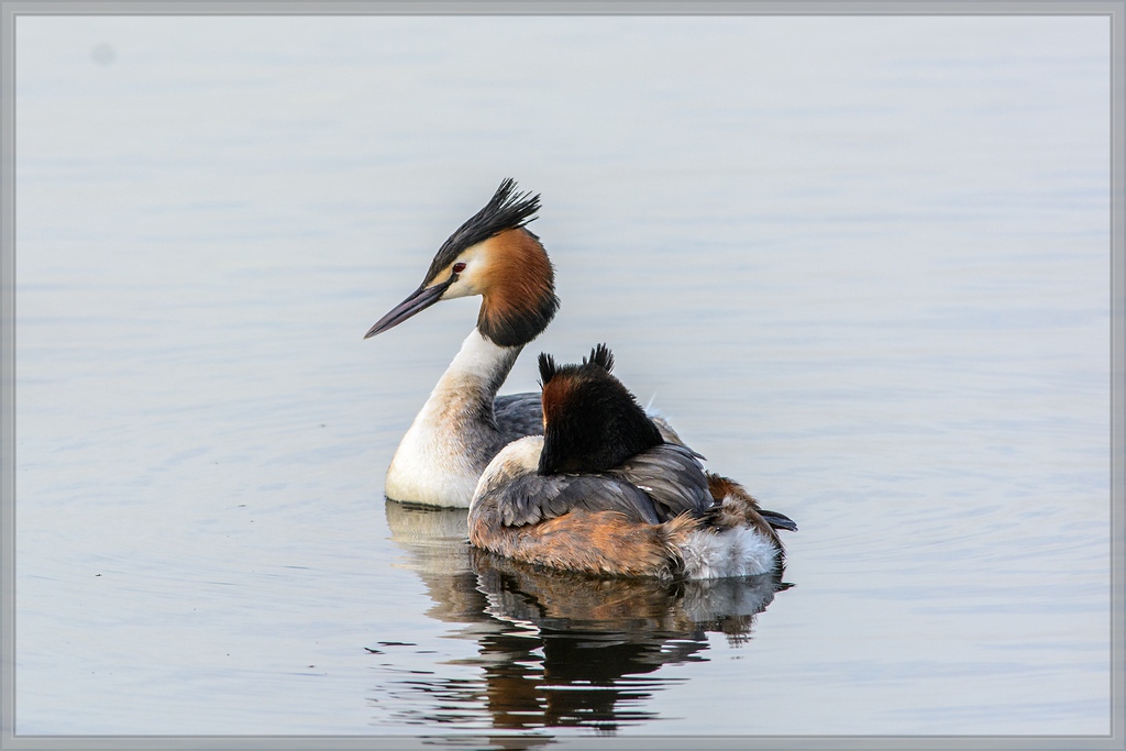 20140319 5946 [NIKON D7100] 500 mm,1 320 Sek. bei ƒ   7,1