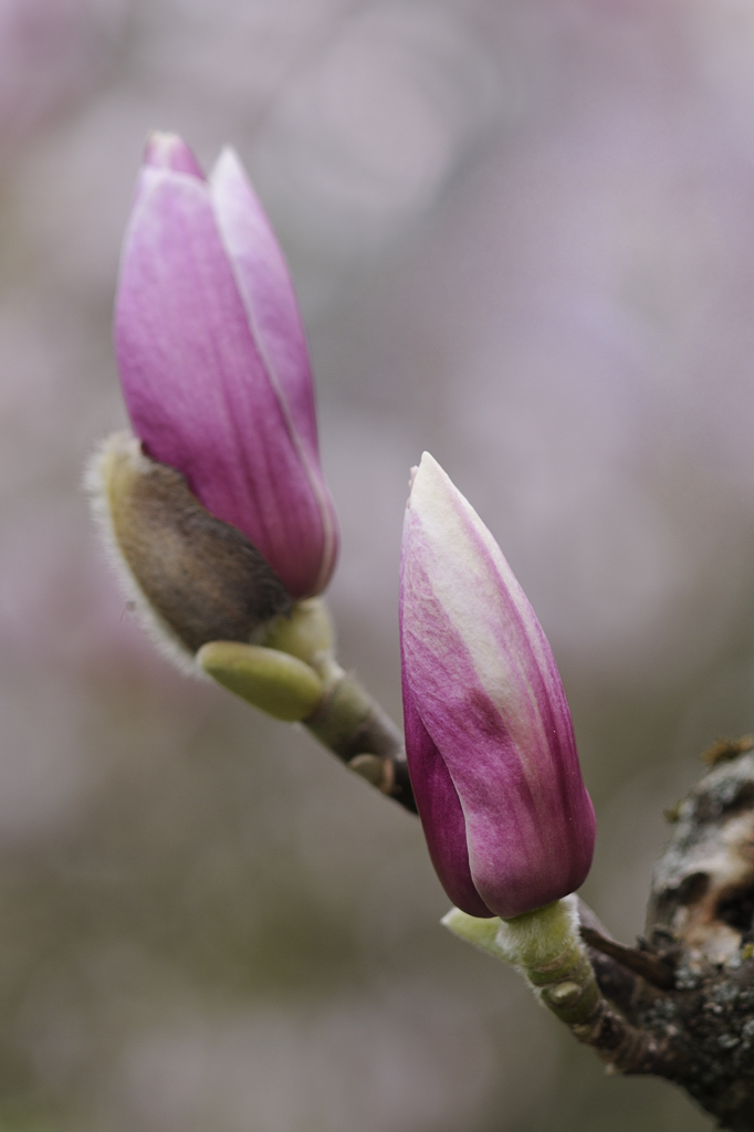 20140323 083401