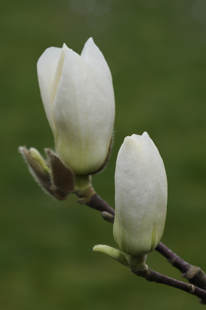 20140323 084639