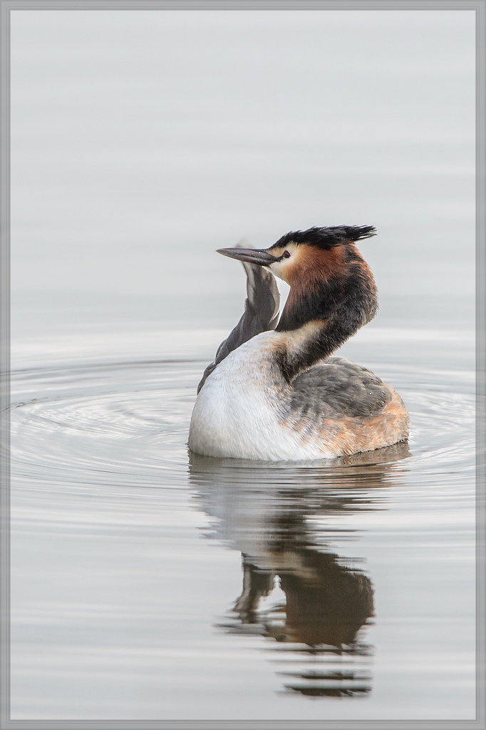 20140323 4403 [NIKON D4] 850 mm,1 640 Sek. bei ƒ   7,1