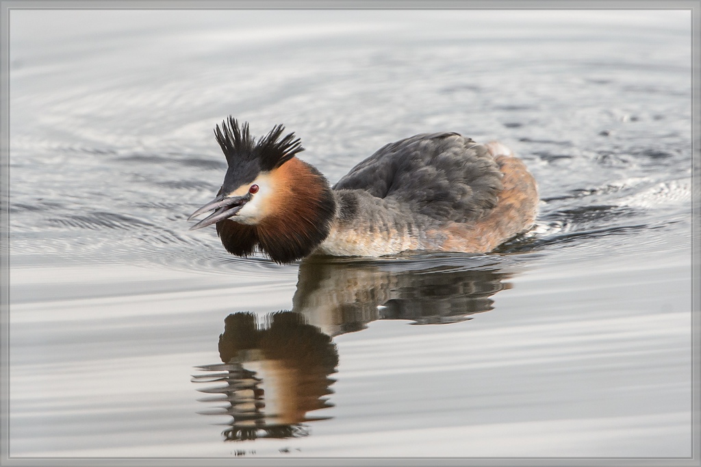 20140323 4412 [NIKON D4] 850 mm,1 640 Sek. bei ƒ   7,1