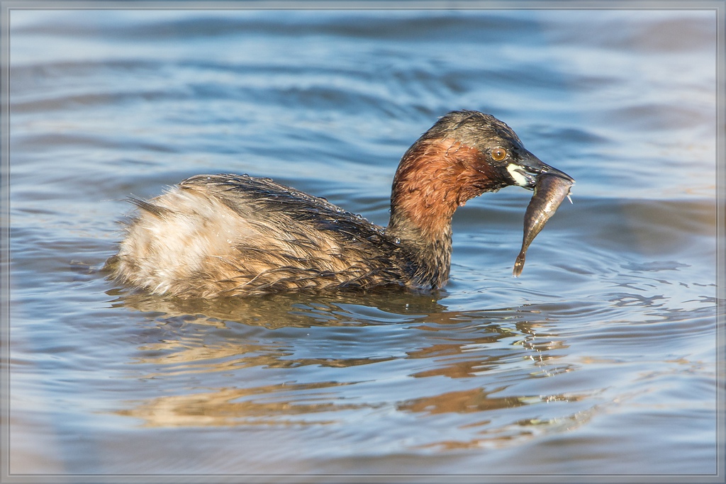 20140329 6141 [NIKON D7100] 850 mm,1 1000 Sek. bei ƒ   8,0