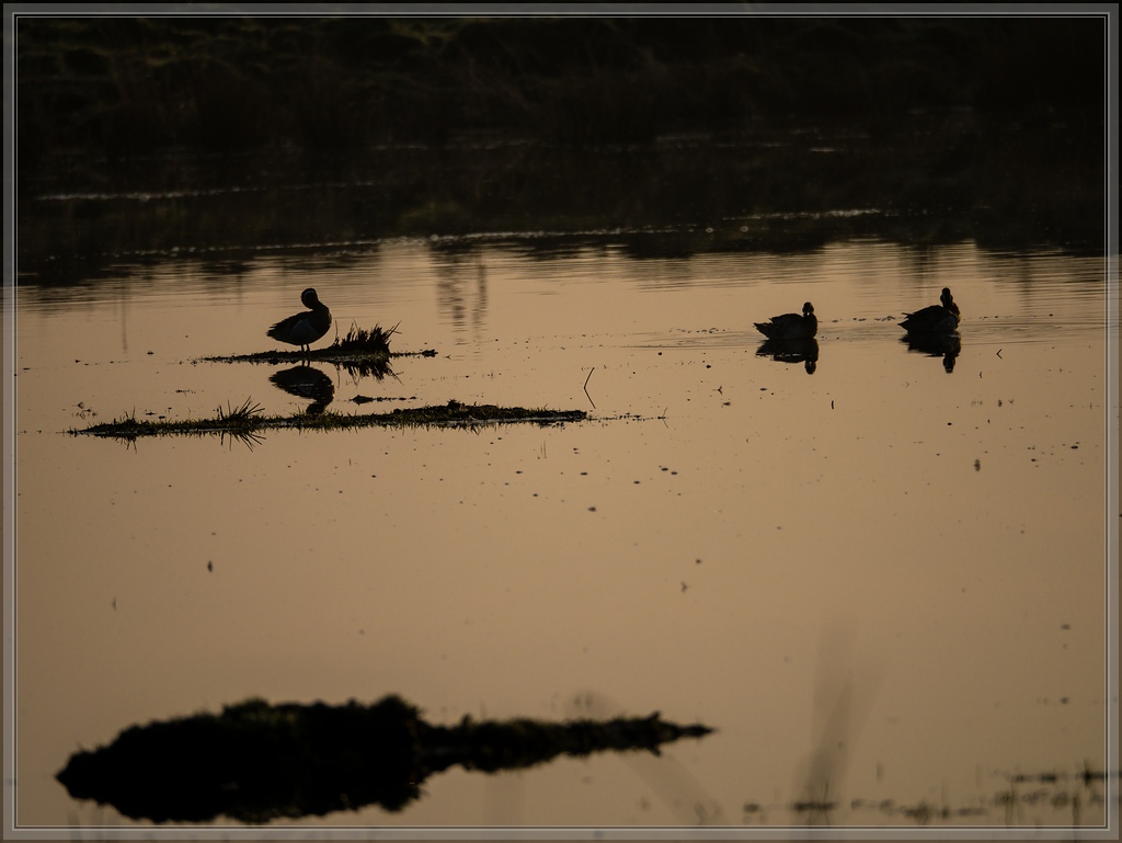 20140330 1060652 [DMC GX7] 300 mm,1 1250 Sek. bei ƒ   6,7
