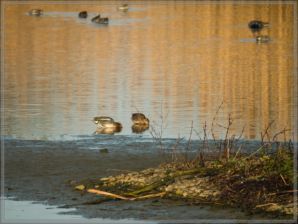 20140330 1060689 [DMC GX7] 300 mm,1 500 Sek. bei ƒ   6,7