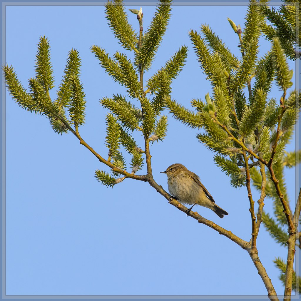 20140330 6205 [NIKON D7100] 500 mm,1 800 Sek. bei ƒ   8,0