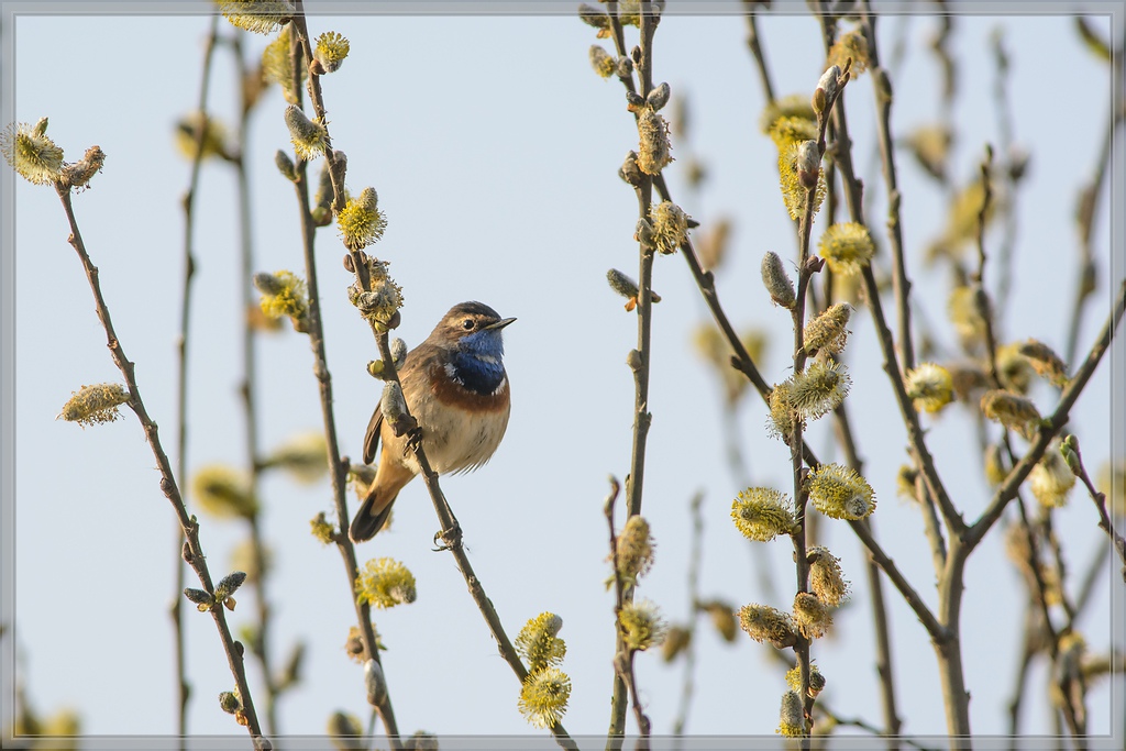 20140330 6279 [NIKON D7100] 500 mm,1 800 Sek. bei ƒ   5,6