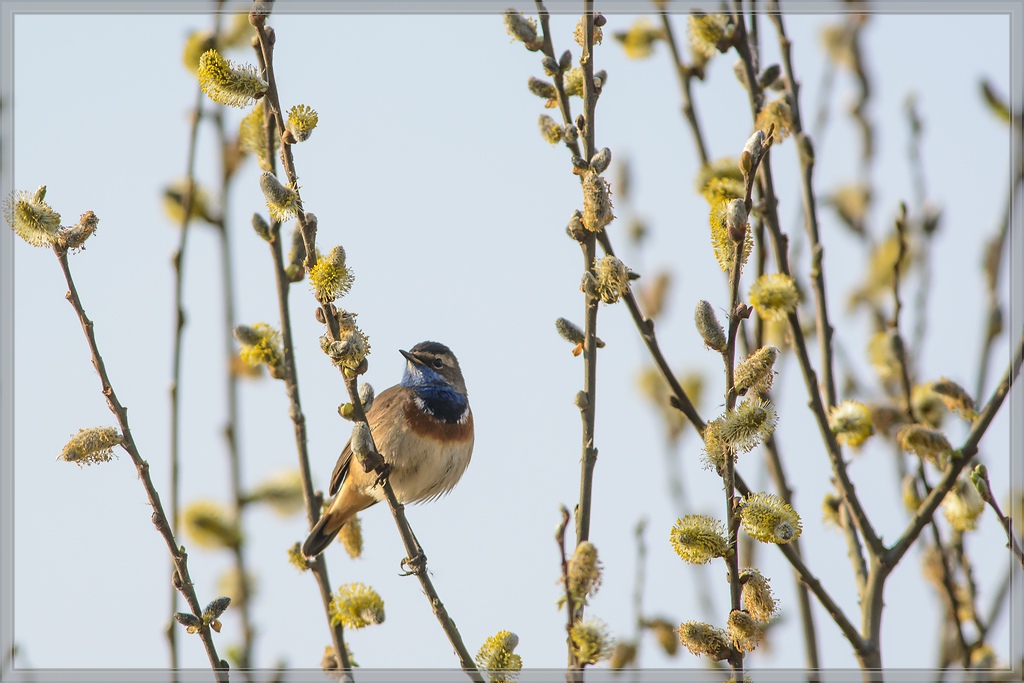 20140330 6291 [NIKON D7100] 500 mm,1 800 Sek. bei ƒ   5,6