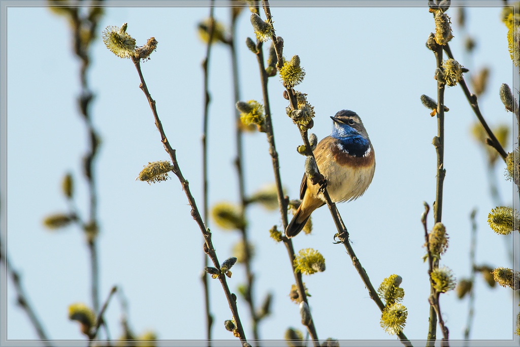 20140330 6309 [NIKON D7100] 500 mm,1 800 Sek. bei ƒ   5,6