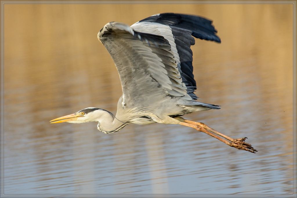 20140401 6525 [NIKON D7100] 500 mm,1 800 Sek. bei ƒ   6,3