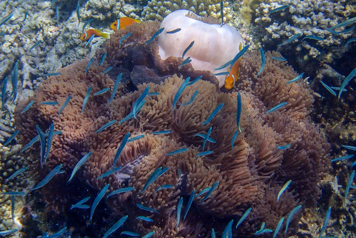 20140403-P4030341.jpg