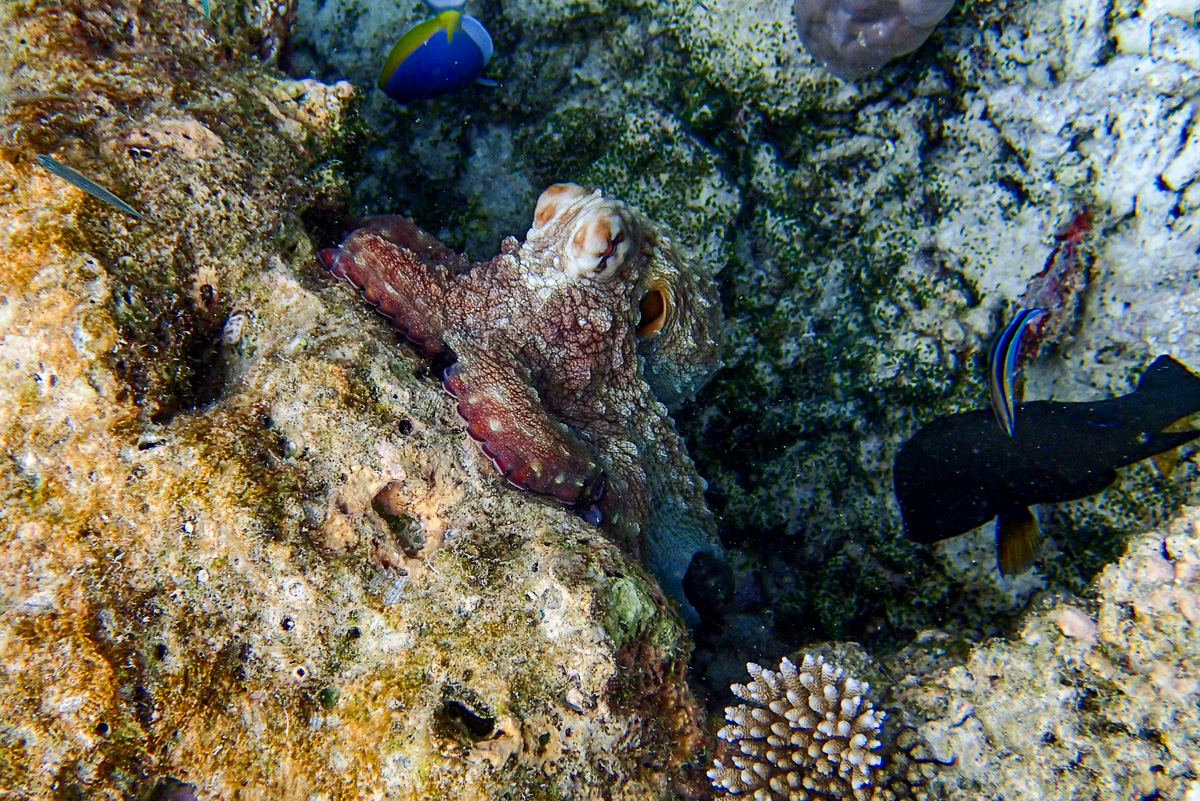 20140403-P4030357.jpg