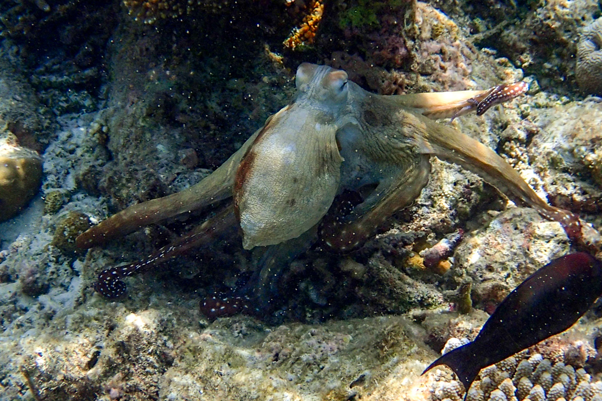 20140403-P4030364.jpg