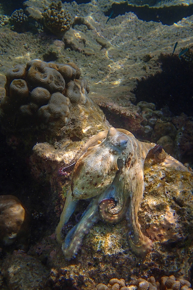 20140403-P4030366.jpg