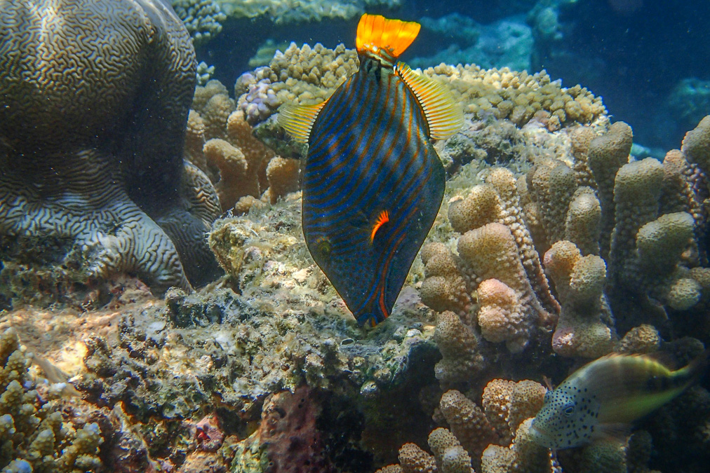 20140403-P4030477.jpg