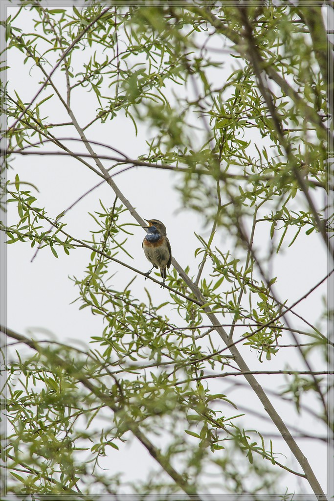 20140405 6617 [NIKON D7100] 500 mm,1 800 Sek. bei ƒ   8,0