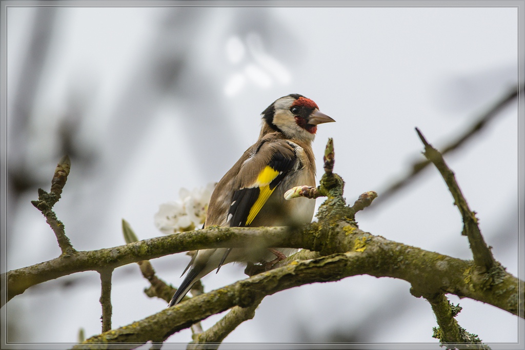 20140405 6690 [NIKON D7100] 500 mm,1 250 Sek. bei ƒ   8,0