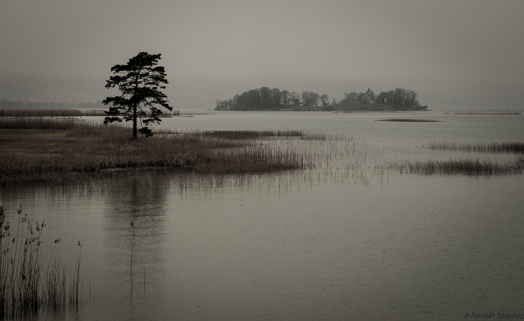 20140405 DSC3068