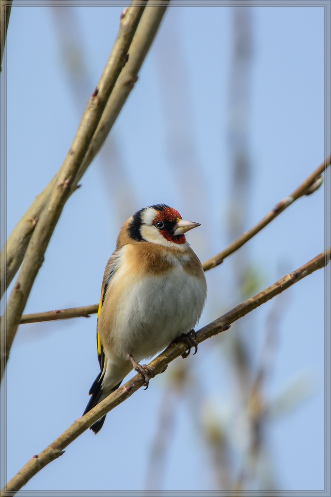 20140406 6863 [NIKON D7100] 850 mm,1 1250 Sek. bei ƒ   6,3