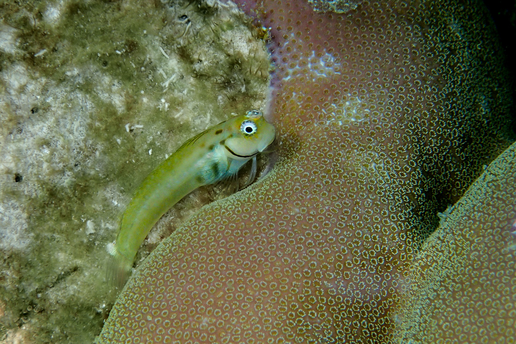 20140407-P4070884.jpg