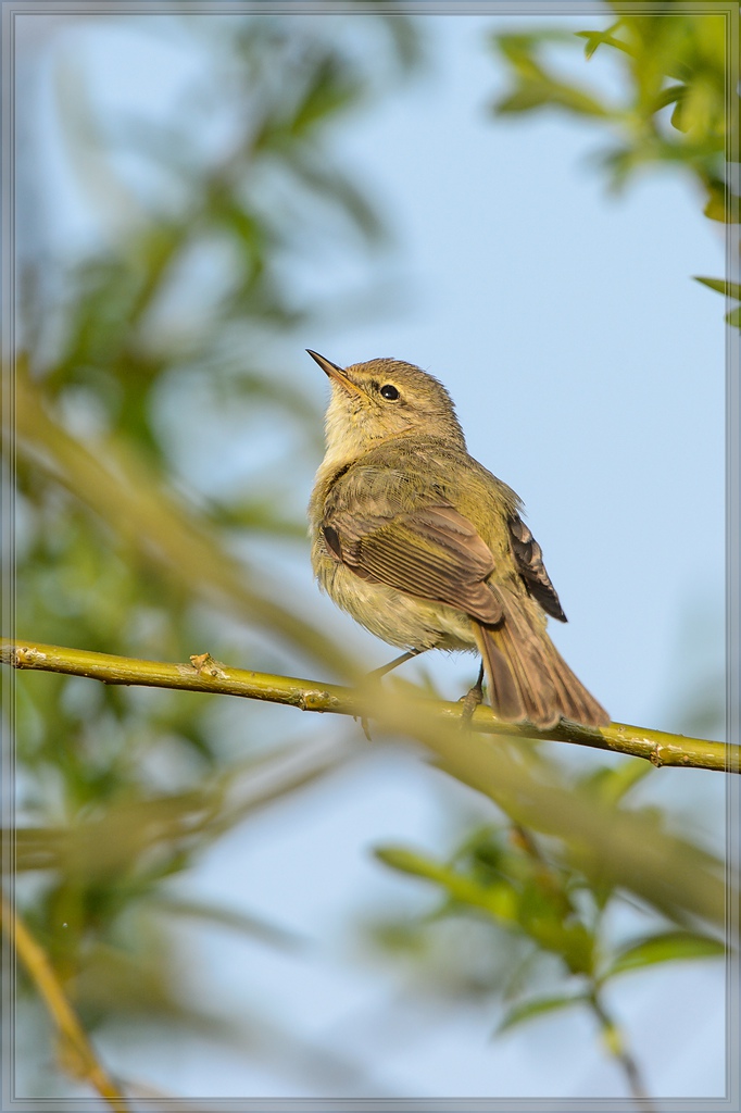 20140412 5382 [NIKON D4] 850 mm,1 1000 Sek. bei ƒ   8,0