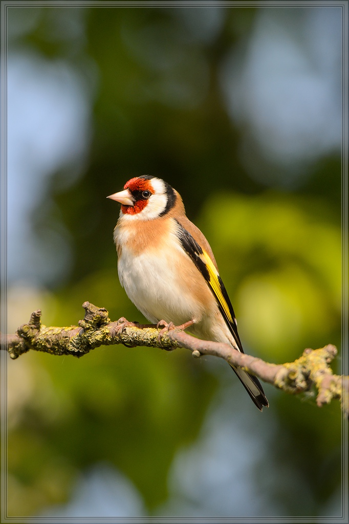 20140412 5438 [NIKON D4] 850 mm,1 1000 Sek. bei ƒ   8,0