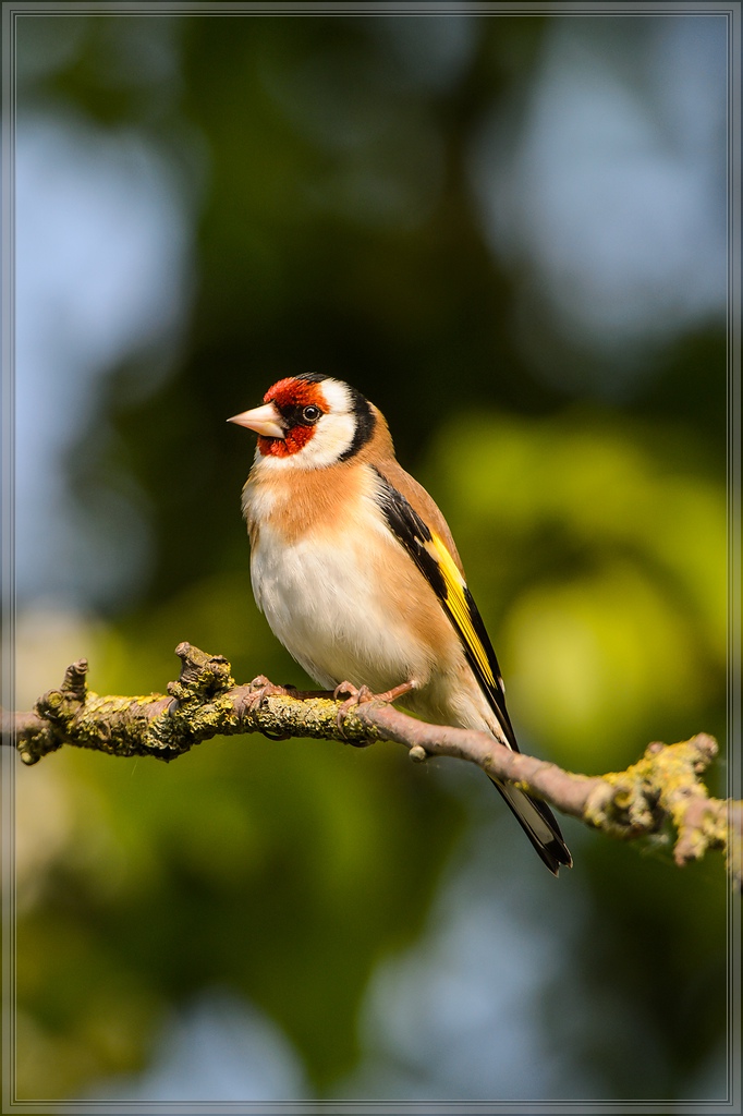20140412 5438 [NIKON D4] 850 mm,1 1000 Sek. bei ƒ   8,0