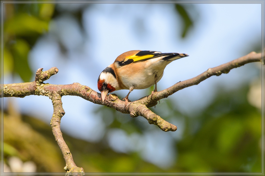 20140412 5454 [NIKON D4] 850 mm,1 800 Sek. bei ƒ   8,0