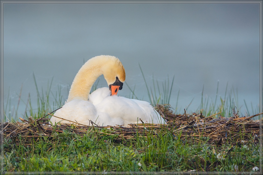 20140412 7003 [NIKON D7100] 600 mm,1 500 Sek. bei ƒ   6,3