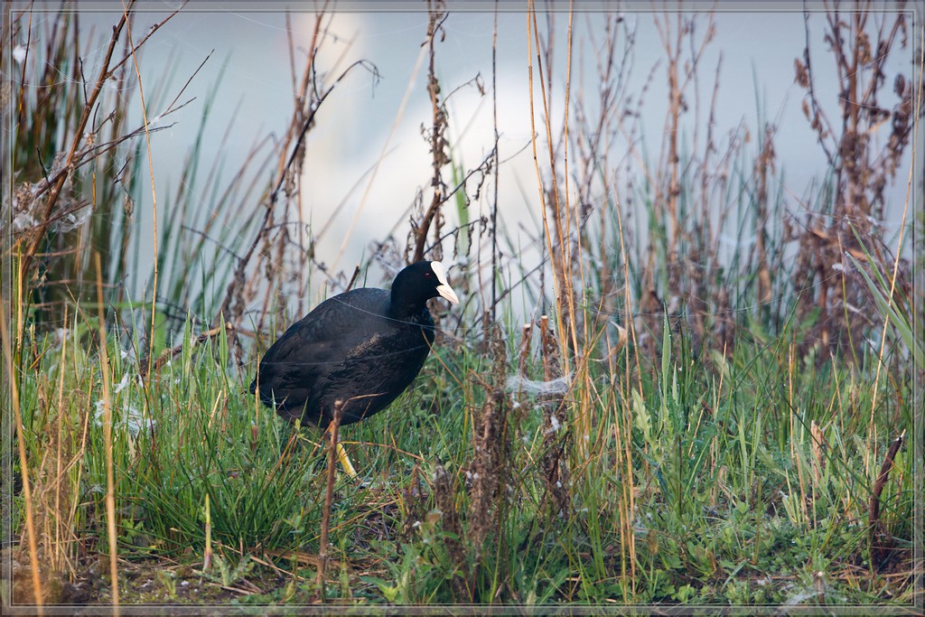 20140412 7024 [NIKON D7100] 600 mm,1 400 Sek. bei ƒ   6,3