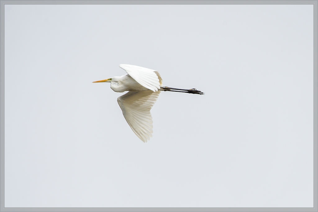 20140413 6130 [NIKON D4] 850 mm,1 1000 Sek. bei ƒ   8,0