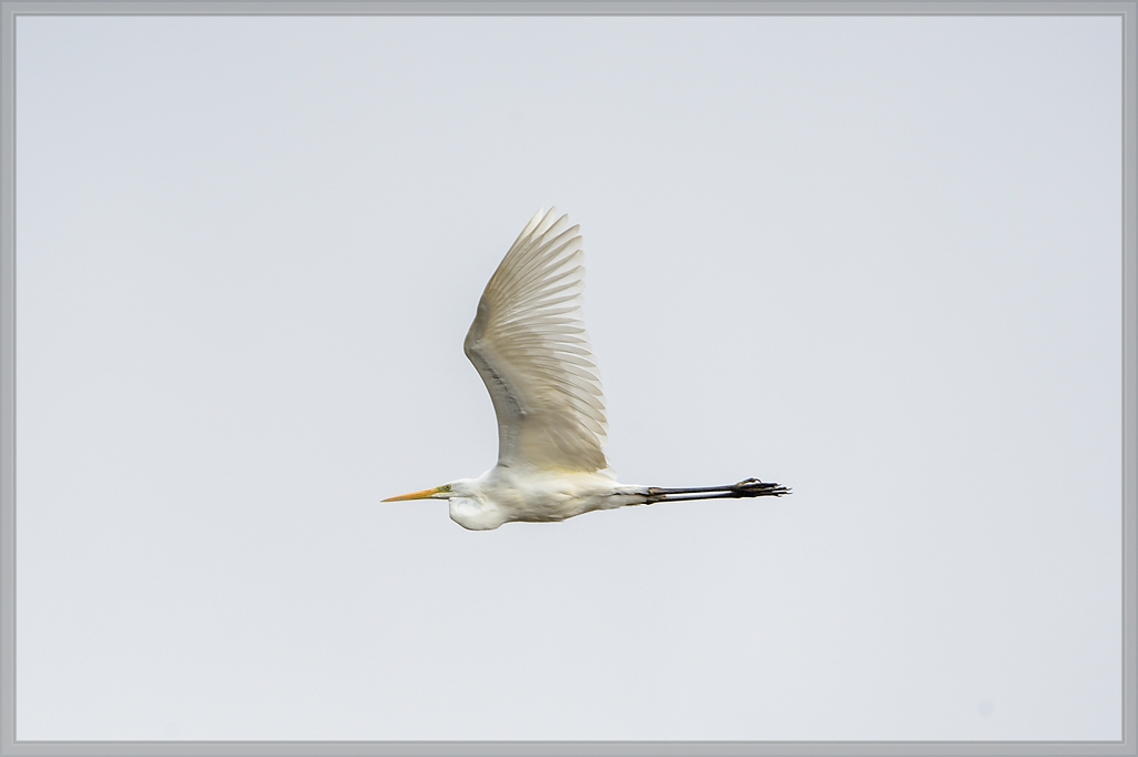 20140413 6131 [NIKON D4] 850 mm,1 1000 Sek. bei ƒ   8,0