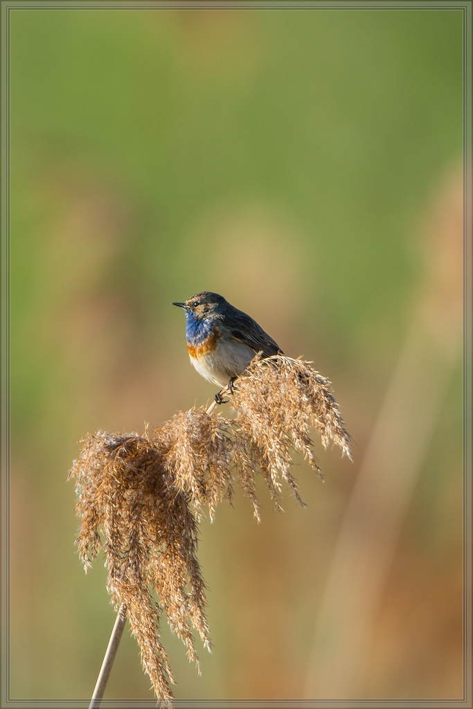 20140417 7153 [NIKON D7100] 850 mm,1 640 Sek. bei ƒ   5,6