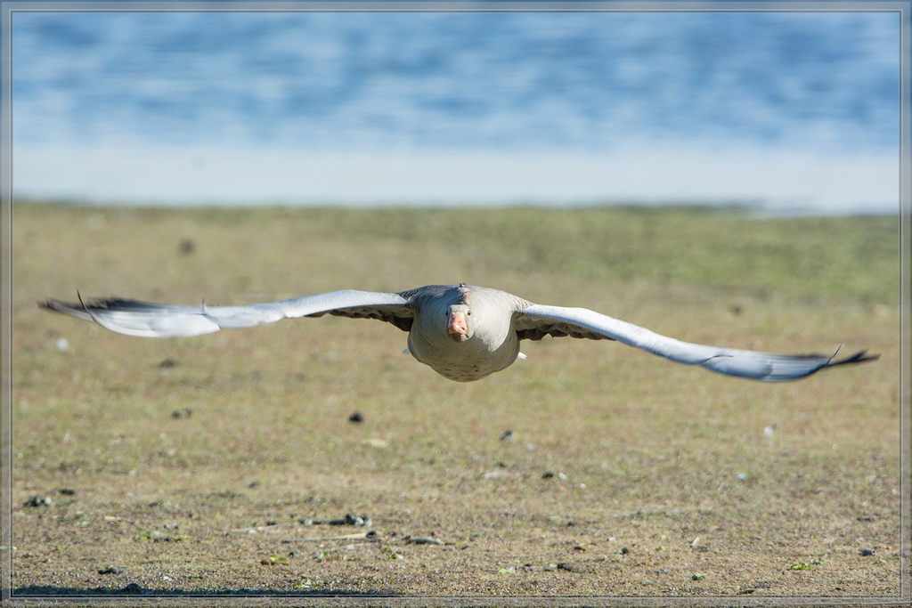 20140417 7218 [NIKON D7100] 850 mm,1 640 Sek. bei ƒ   8,0