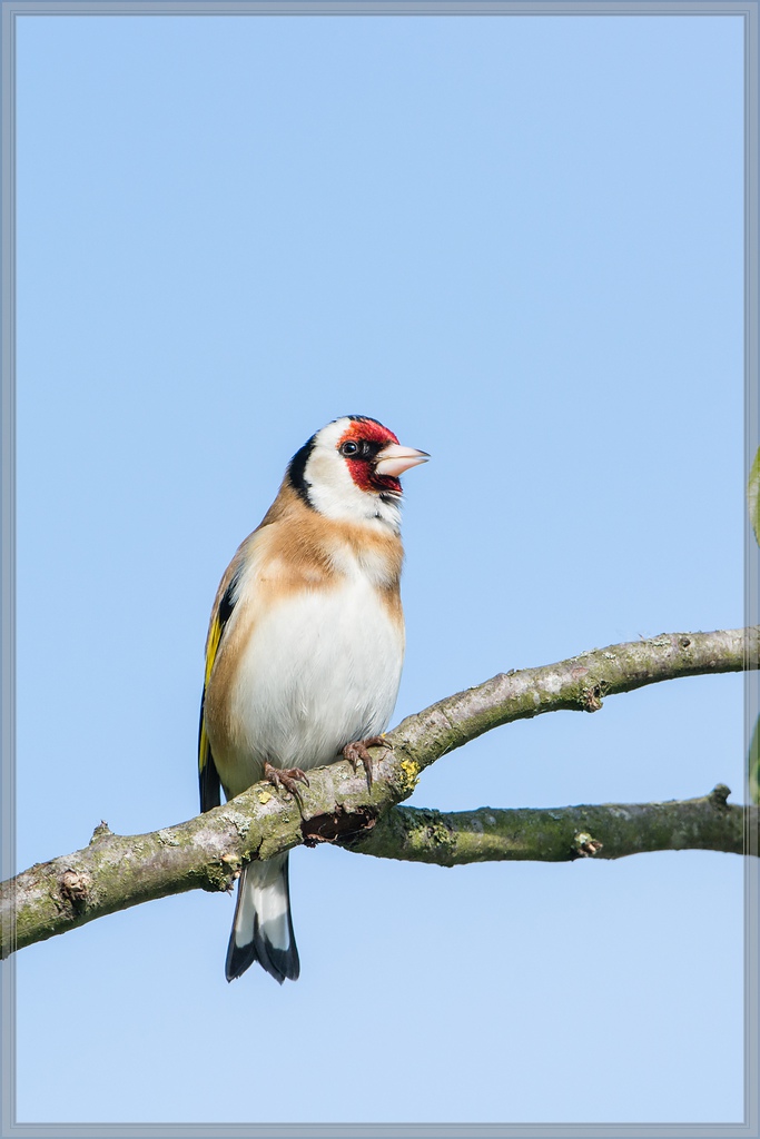 20140417 7239 [NIKON D7100] 600 mm,1 1000 Sek. bei ƒ   8,0