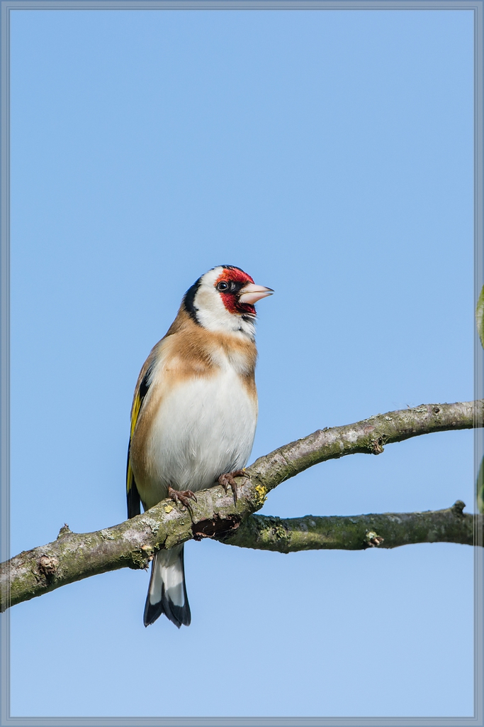 20140417 7239 [NIKON D7100] 600 mm,1 1000 Sek. bei ƒ   8,0