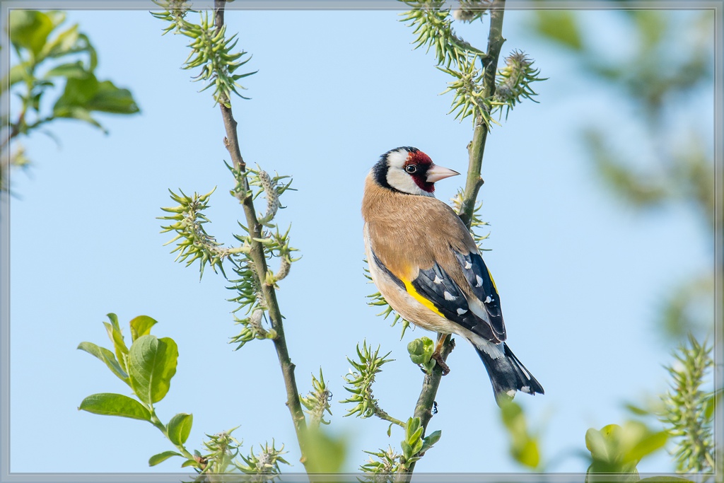 20140417 7275 [NIKON D7100] 600 mm,1 1000 Sek. bei ƒ   8,0