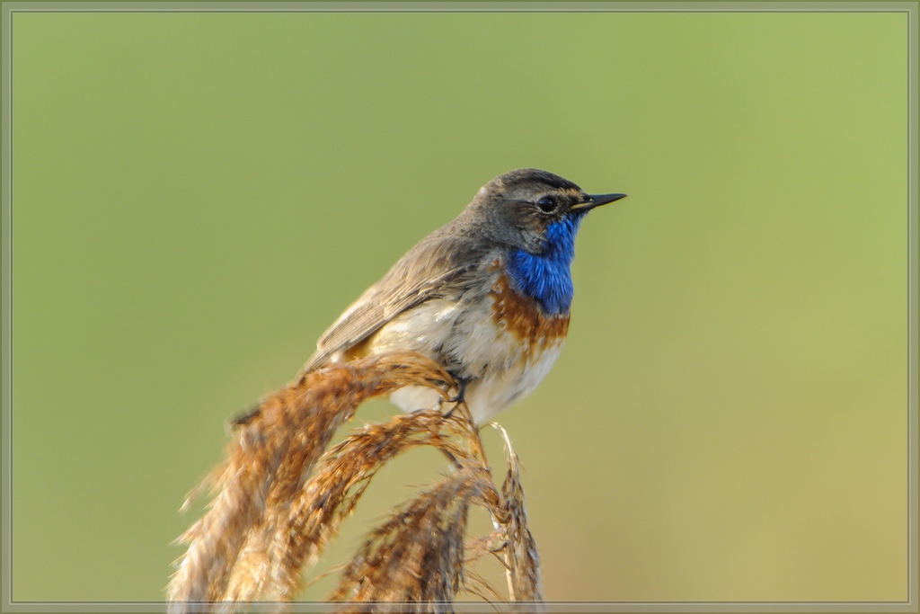 20140418 9665 [NIKON 1 V1] 850 mm,1 50 Sek. bei ƒ   7,1