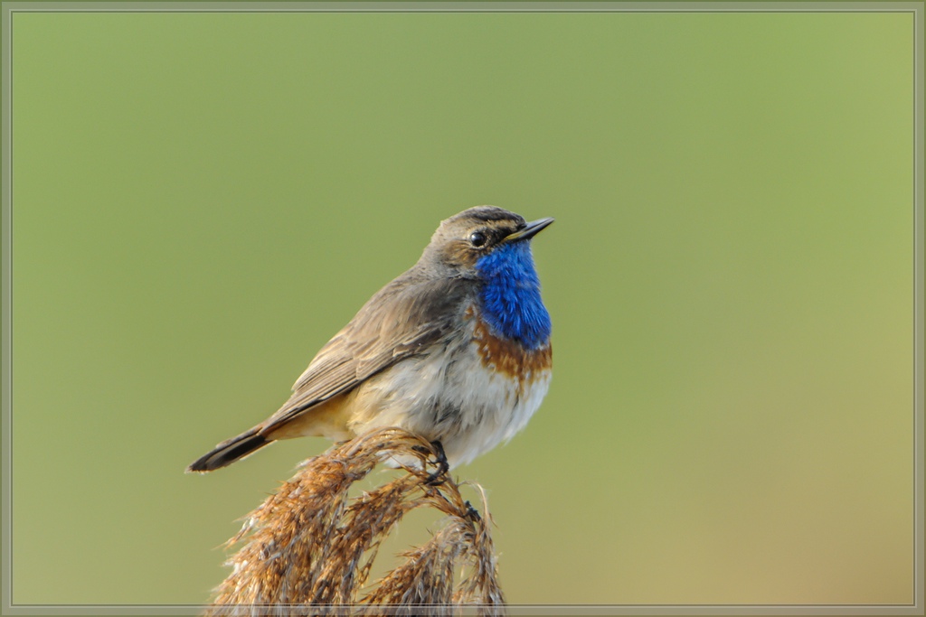 20140418 9681 [NIKON 1 V1] 850 mm,1 50 Sek. bei ƒ   7,1 2