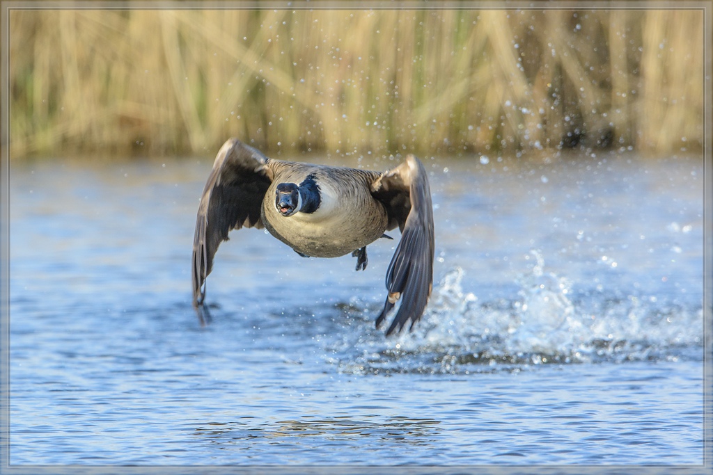 20140419 7377 [NIKON D7100] 600 mm,1 800 Sek. bei ƒ   8,0
